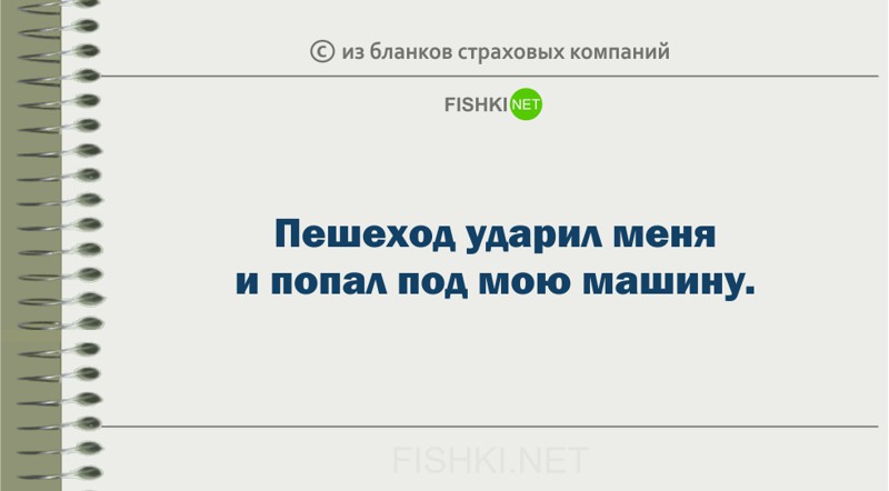 Забавные пояснения из бланков страховых компаний страховка, юмор