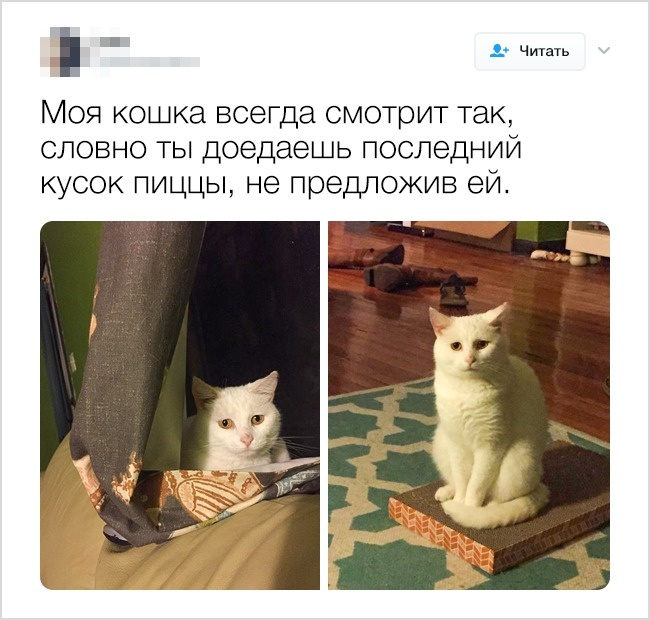FotorCreated