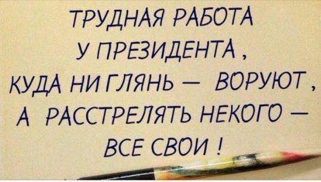 Бобер, увидев охотника, опознал на его голове пропавшего деда Бобер, увидев охотника, опознал на его голове пропавшего деда