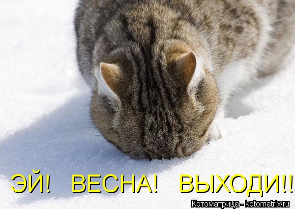 Поднимаем настроение! Весна! Поднимаем настроение! Весна!