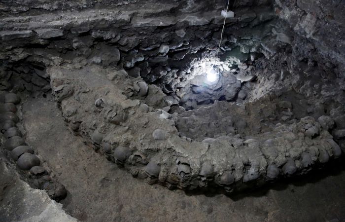 10 древних черепов, которые приоткрыли завесу тайны над прошлым человечества