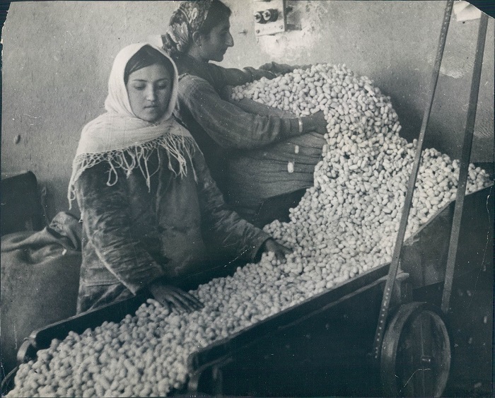 Ткацкая Фабрика в Тифлисе, 1930 год. Ткацкая Фабрика в Тифлисе, 1930 год.