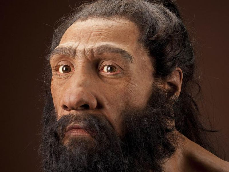 Глаза неандертальцев в среднем были 25% больше, чем у современного человека, а это значит, что мозг тратил больше сил на «управление» зрением, т.е. на анализ и восприятие информации