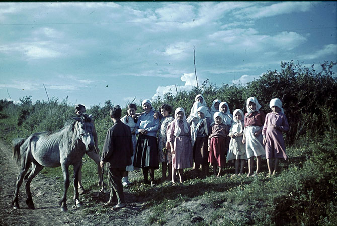 Белгородской области 1943 года в объективе рядового вермахта