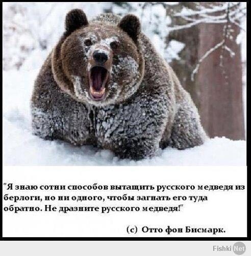 Дневник им. Cany3: Не будите Русского медведя