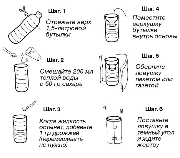 Как избавиться от комаров без ядовитой «химии»: 9 крутейших способов