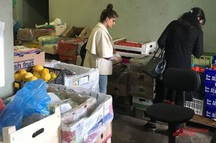 Дорогой наш огурец! Почему цены в магазинах в разы выше, чем на овощебазах?