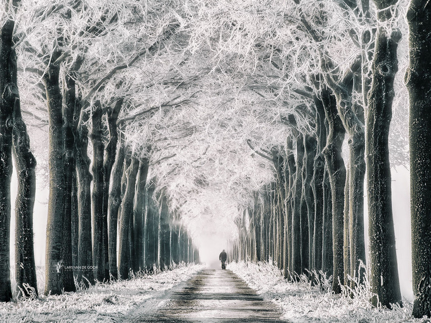 Fotograf Lars van de Gor 3