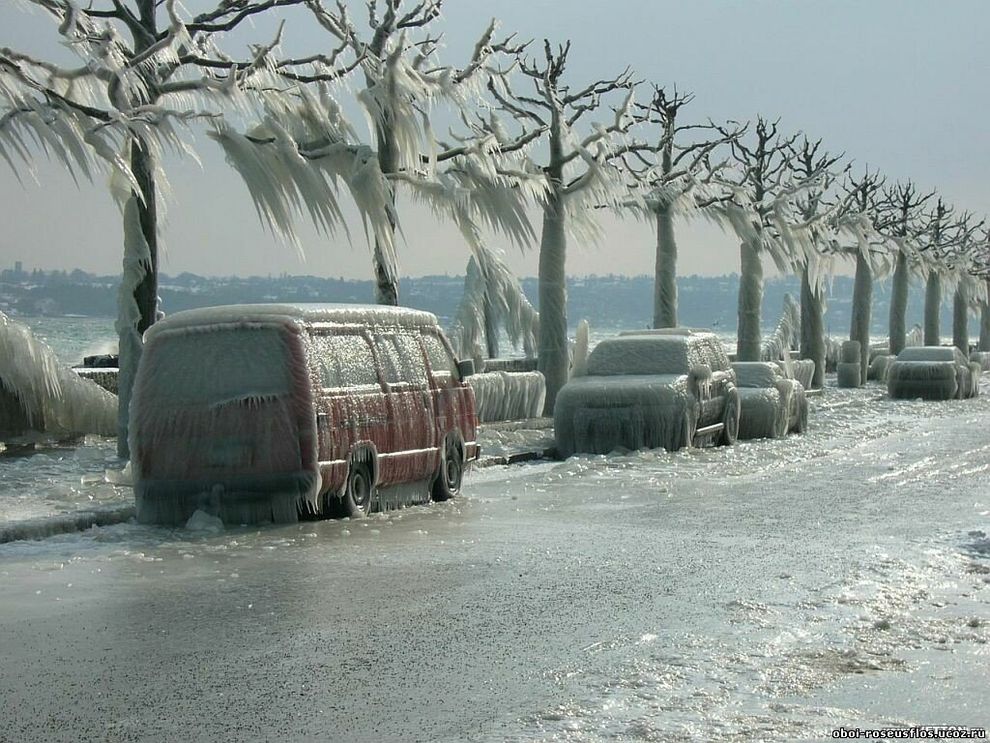 Самые красивые фотографии морозной зимы frozen09 Самые красивые фотографии морозной зимы