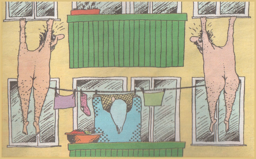  56
