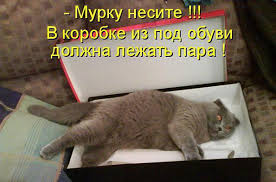 Котоматрицы великолепные, каждая с кусочком тепла, позитива и улыбкой! Котоматрицы великолепные, каждая с кусочком тепла, позитива и улыбкой!