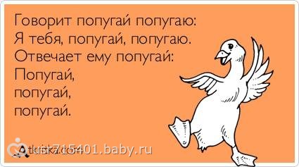 Русский язык - взрыв мозга для иностранцев Русский язык - взрыв мозга для иностранцев