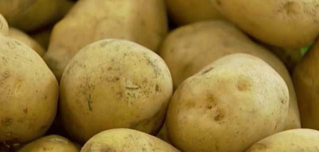Идеальный на вид: в российских магазинах обнаружили зараженный картофель