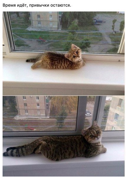 Новые фотомемы на Бугаге (27 шт) Новые фотомемы на Бугаге (27 шт)