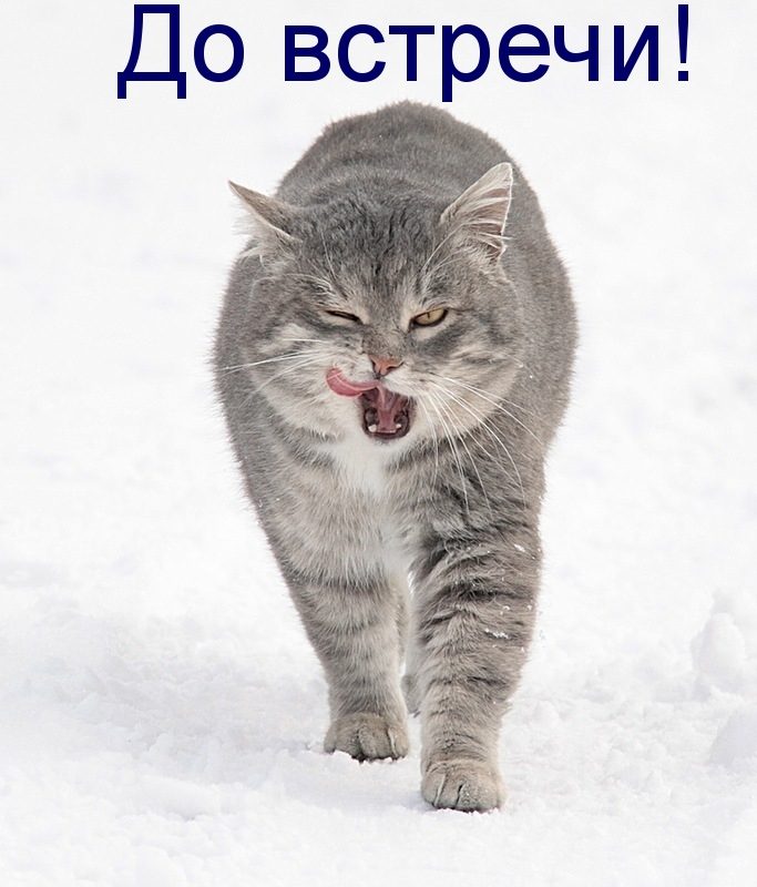 Дружба навеки