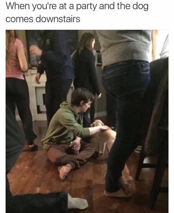 29 random memes thatll make you spit out your morning coffee april 19 2017 25 Random memes that made us spit out our morning coffee this week (59 photos)