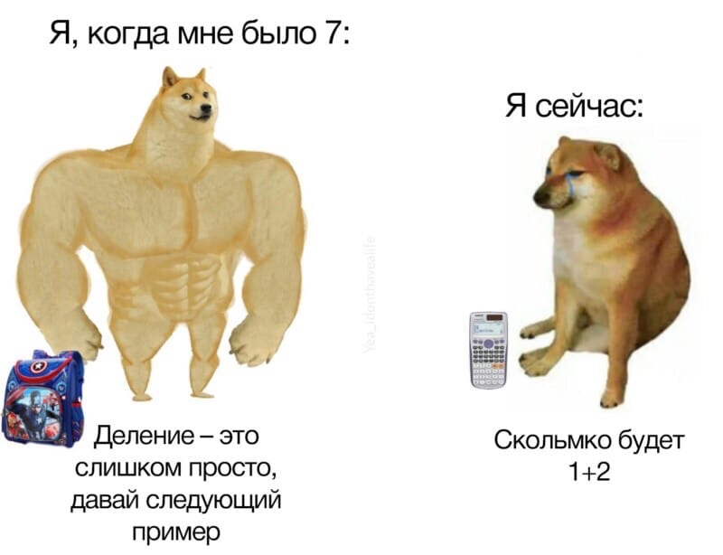 Накачанный Доге и плачущий Чимс: Что за мем?
