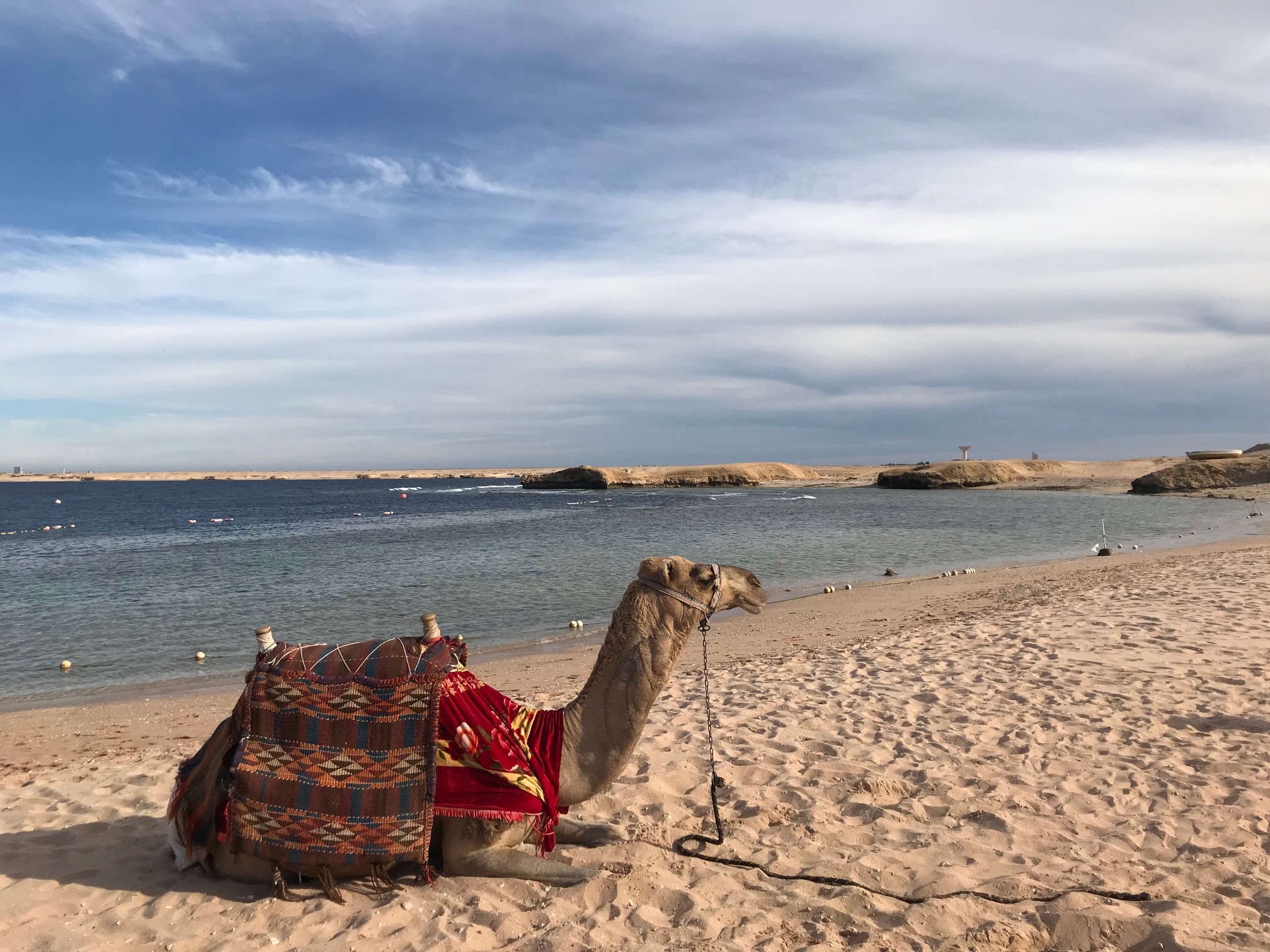 отдых в египте у моря