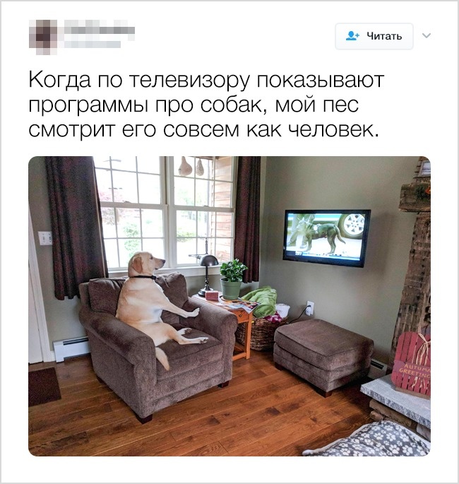 FotorCreated