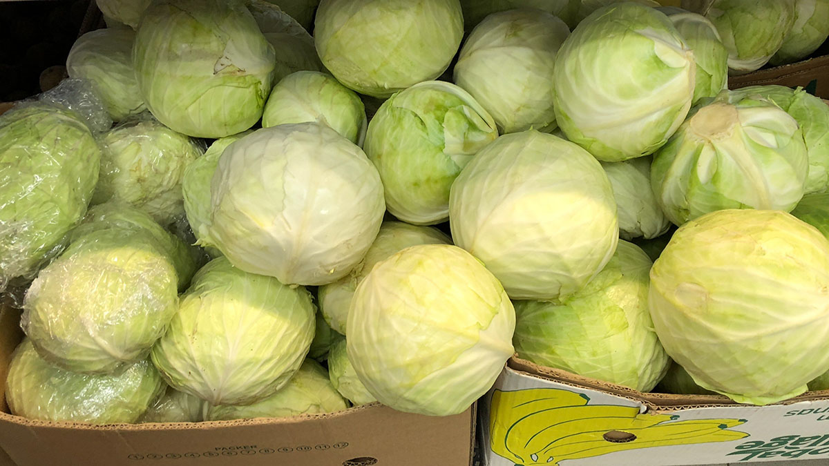 Когда полезная клетчатка становится опасной