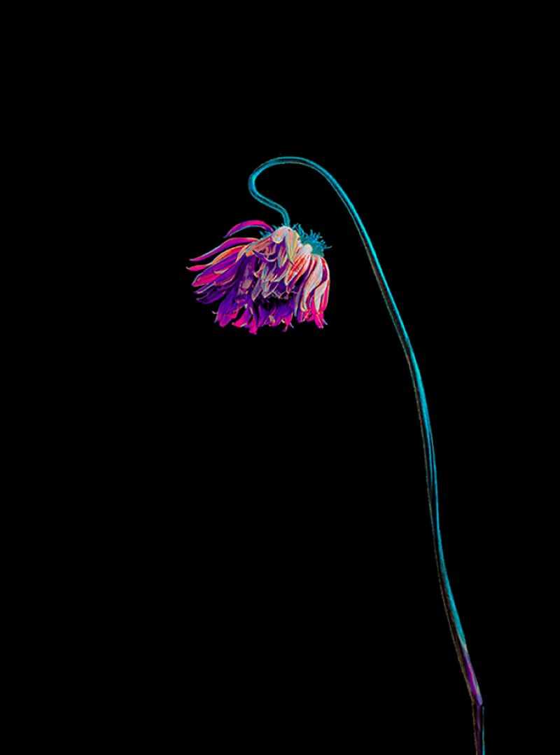 In Love. Anna Biletska
