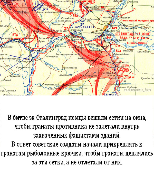 А вы знали? интересно, подборка, факты