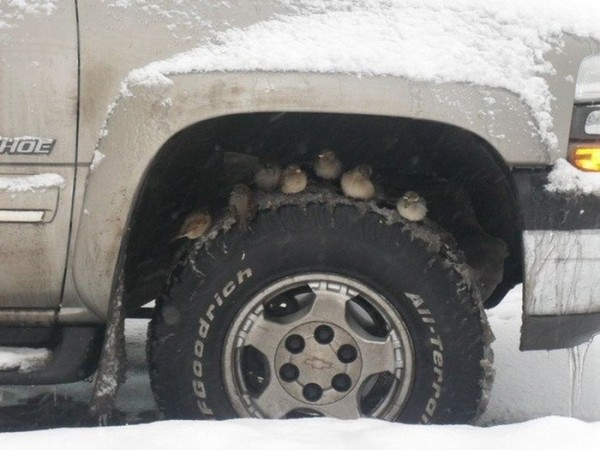 Интересные фотографии