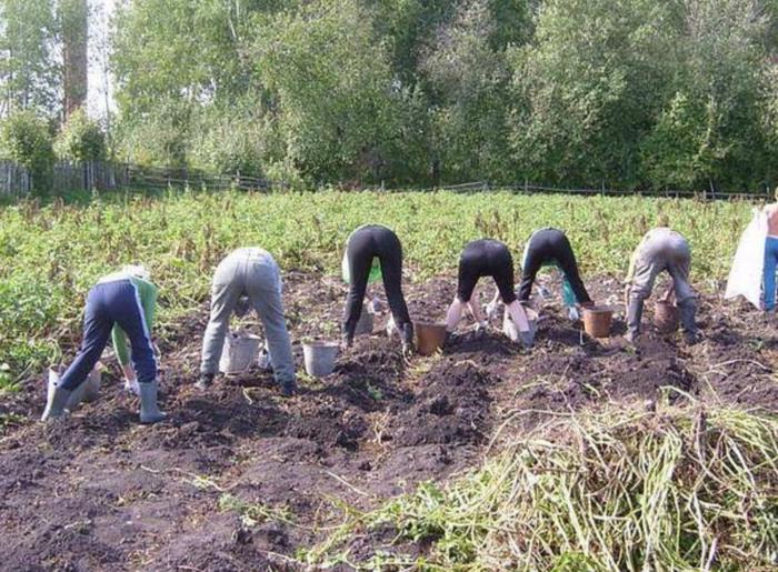 Нужно уметь правильно расставлять приоритеты