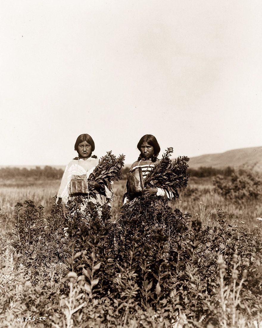 Редкие фотографии 1900-х годов показывают, как жили индейцы еще 100 лет назад
