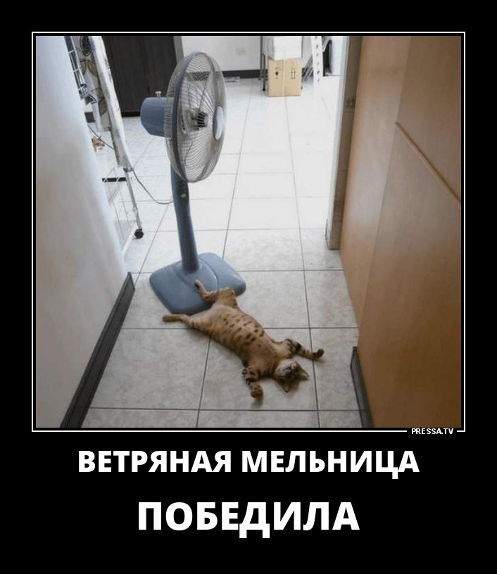 ДЕМОТИВАТОРЫ+ ДЕМОТИВАТОРЫ+