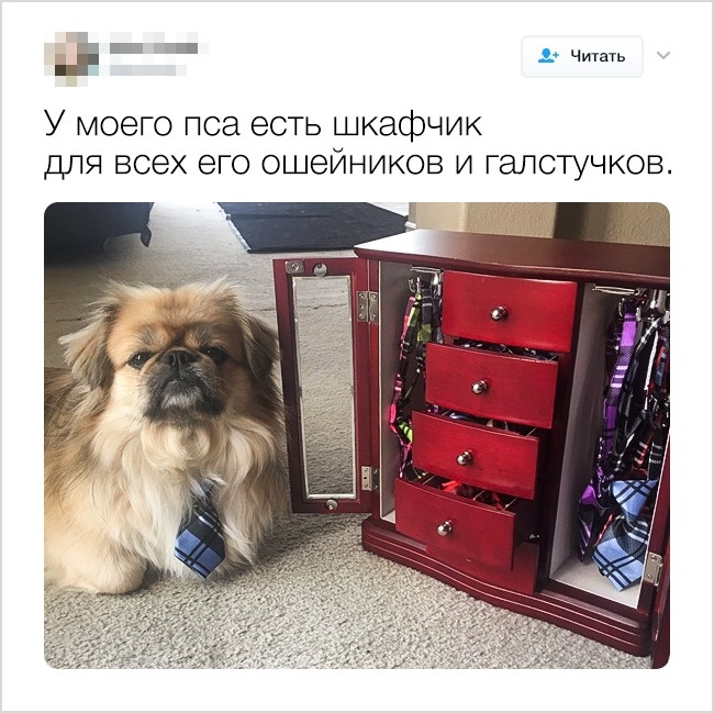 FotorCreated