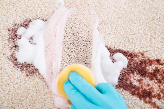 Как почистить ковёр специальным моющим средством