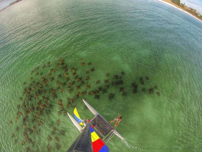 30 интересных снимков