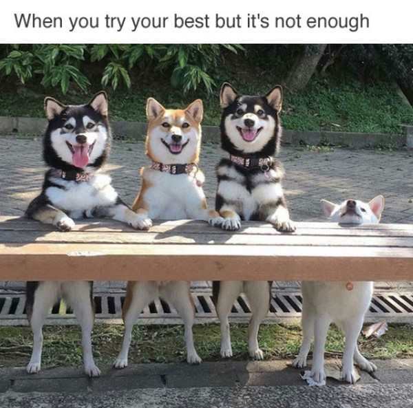 29 random memes thatll make you spit out your morning coffee april 19 2017 23 Random memes that made us spit out our morning coffee this week (59 photos)