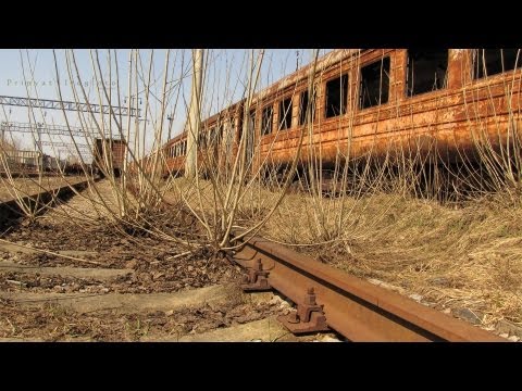 Путешествие по Припяти #1. Янов \ Trip in Pripyat #1. Yanov
