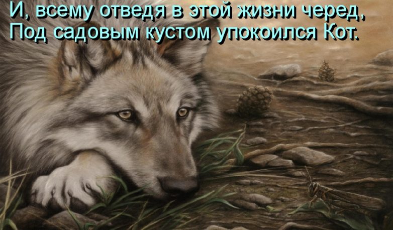 Дружба навеки