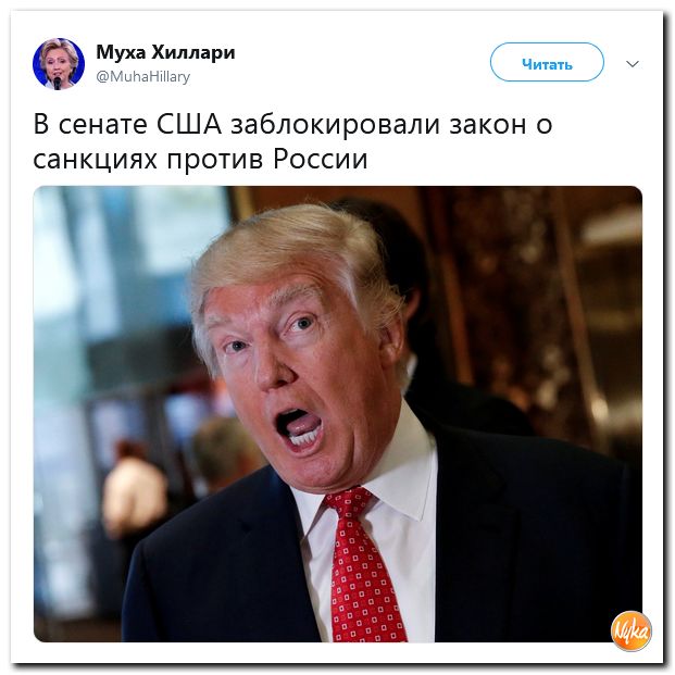 76e89aa256f5b6bdda6bd14cf286150a.jpg