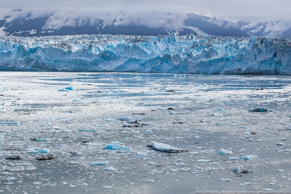 Alaska41 Такая впечатляющая Аляска