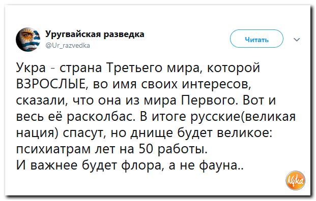 Соцсети жгут!!! Обзор ситуации в мире в ехидных скриншотах Соцсети жгут!!! Обзор ситуации в мире в ехидных скриншотах