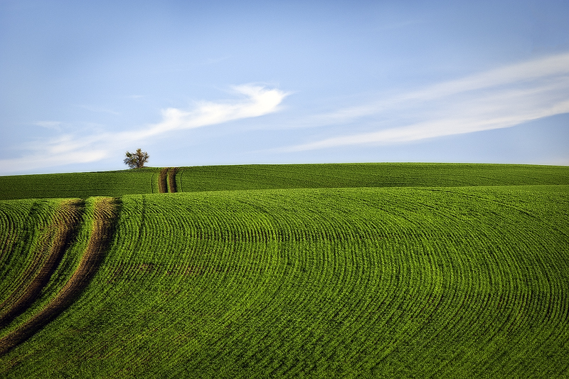 Palouse 6   