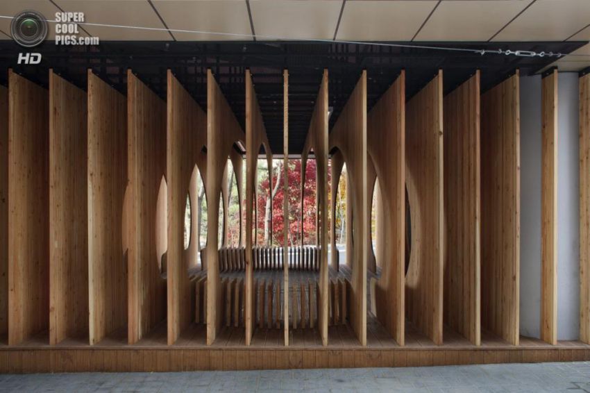 студент, отдых