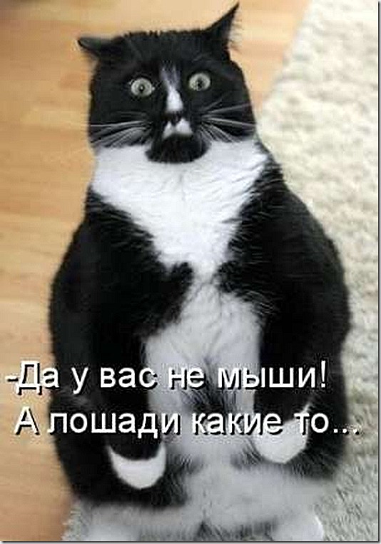 1259913074_s3img_92679036_723_1