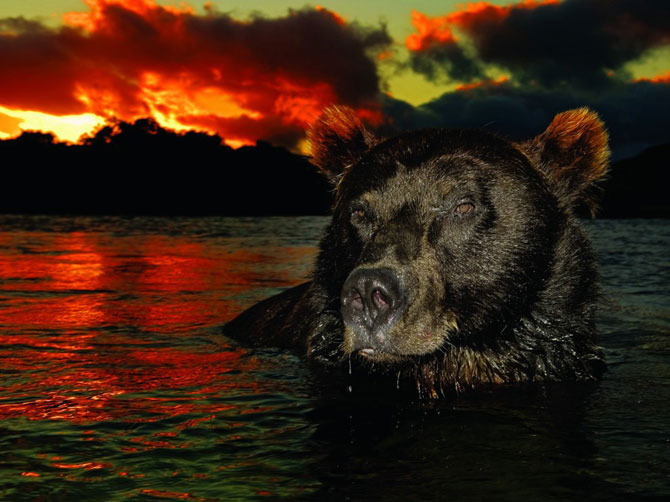 Лучшие фотографии National Geographic в июле
