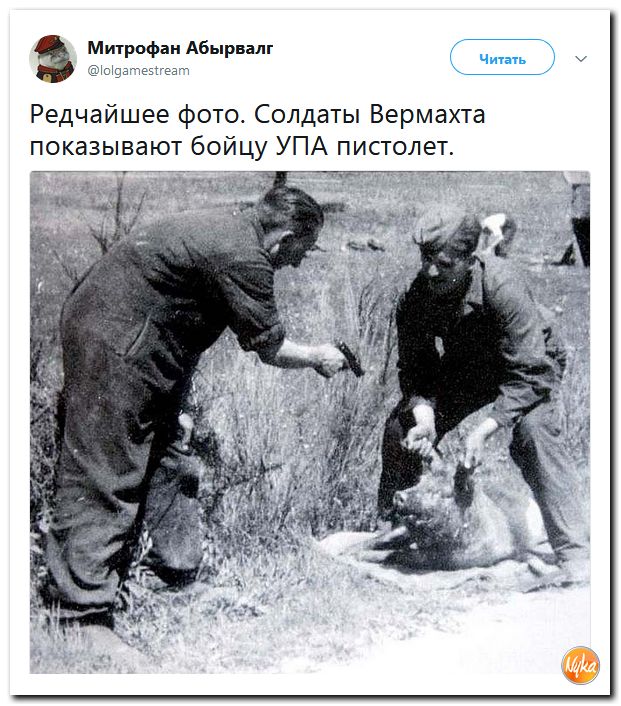 45.jpg