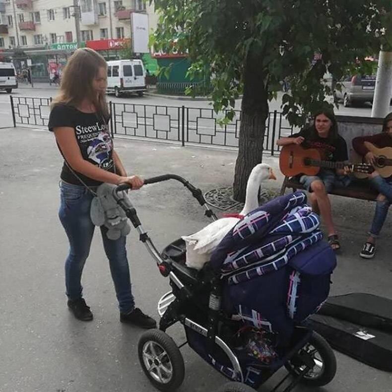 Родила царица в ночь Тут творится что-то не то
(15 фото)