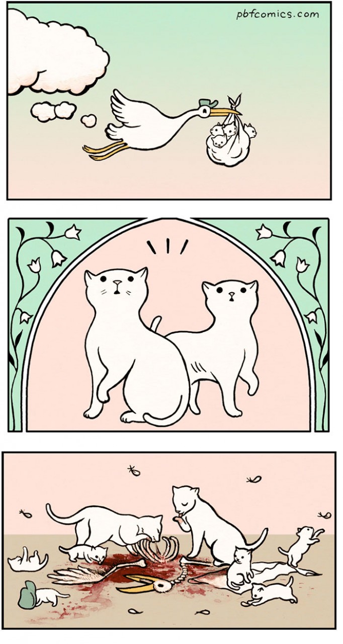 rab6
