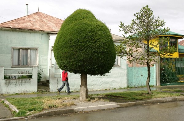 Юмор в фотографии от Зака Секлера (15 фото)