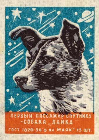 Советские собаки - космонавты в картинках Советские собаки - космонавты в картинках