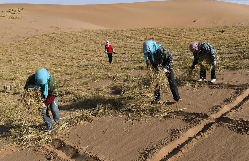 5 опасных для жизни райских уголков