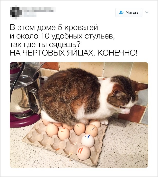 FoFotorCreatedtorCreated
